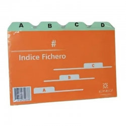INDICE FICHERO IGNEO Nº3 CARTON