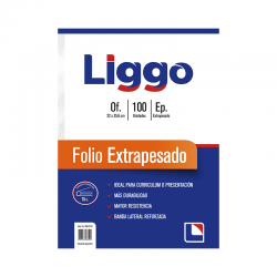 FOLIO OFICIO LIGGO X100...