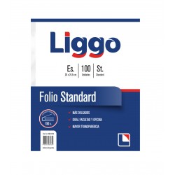 FOLIO ESCOLAR LIGGO X 100...