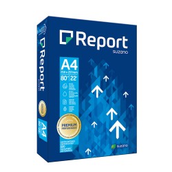 A 4  80 GRS REPORT
